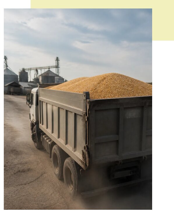 Перевозка сельхозпродукции навалом в Читу по цене от 3105 р. | Агросервис-Чта