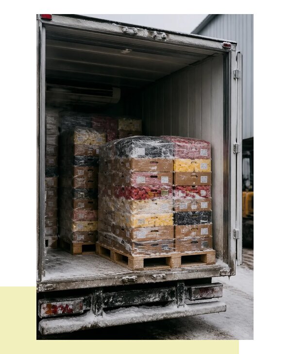 Перевозка замороженных фруктов и ягод в Читу по России